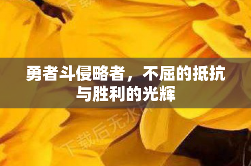 不屈的抵抗与胜利的光辉图片