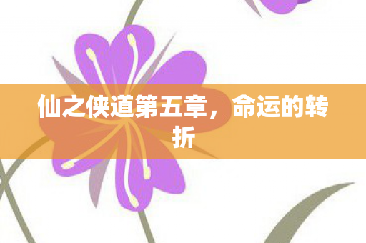 仙之侠道第五章图片