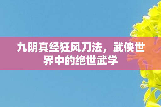 武侠世界中的绝世武学图片