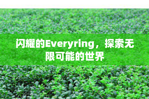 闪耀的Everyring图片
