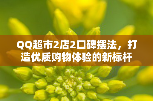 打造优质购物体验的新标杆图片