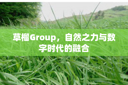 自然之力与数字时代的融合图片