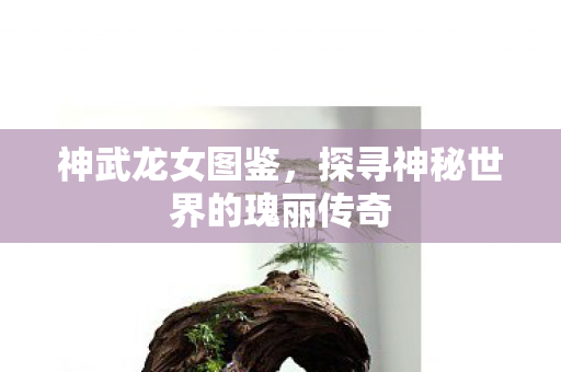 探寻神秘世界的瑰丽传奇图片