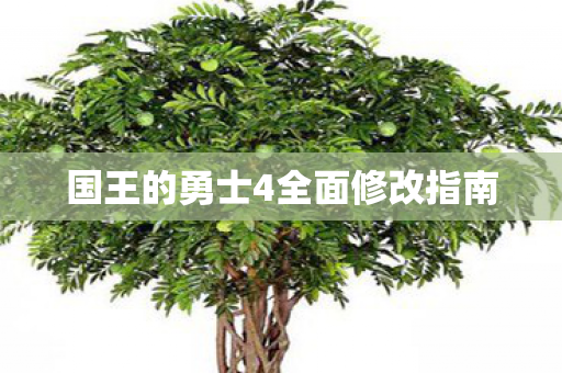 国王的勇士4全面修改指南图片