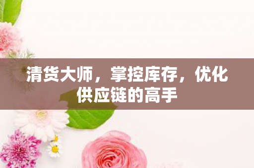 优化供应链的高手图片