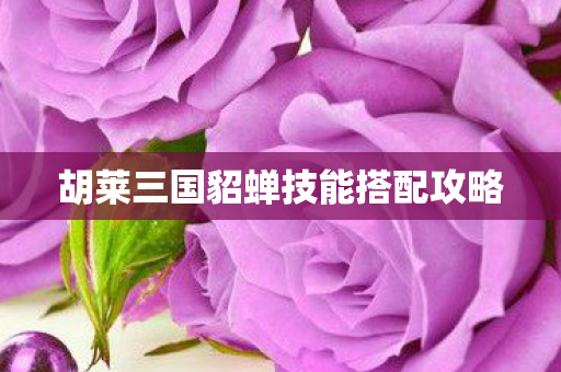 胡莱三国貂蝉技能搭配攻略图片