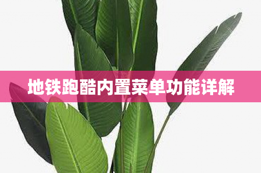 地铁跑酷内置菜单功能详解图片