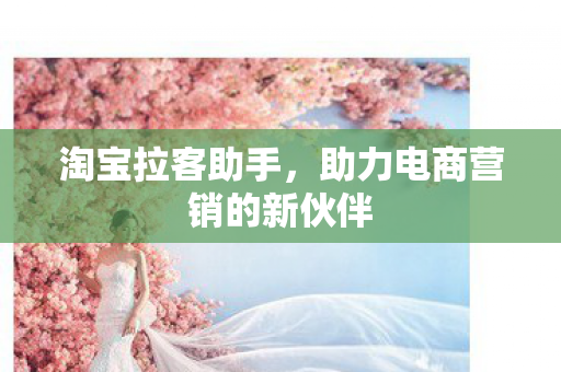 助力电商营销的新伙伴图片