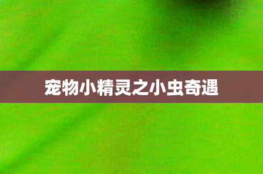 宠物小精灵之小虫奇遇图片