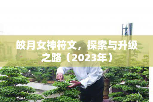 探索与升级之路图片