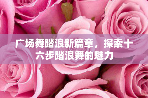 探索十六步踏浪舞的魅力图片