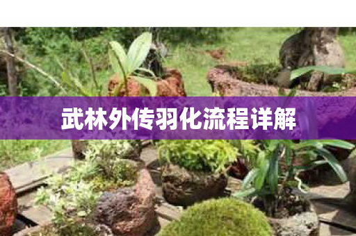 武林外传羽化流程详解图片