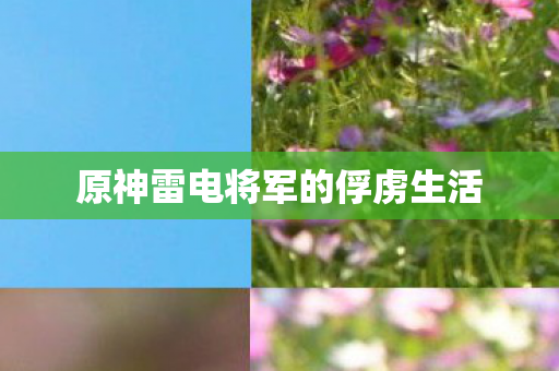 原神雷电将军的俘虏生活图片