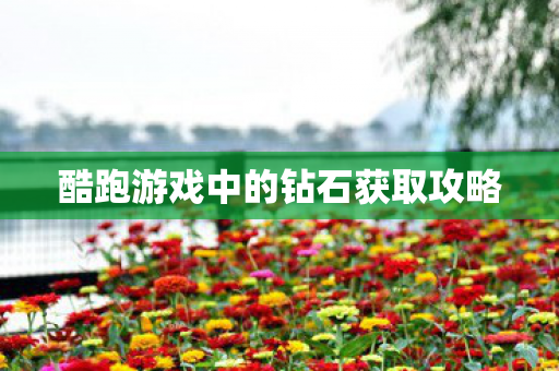 酷跑游戏中的钻石获取攻略图片