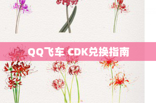 QQ飞车 CDK兑换指南图片