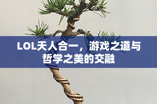 游戏之道与哲学之美的交融图片