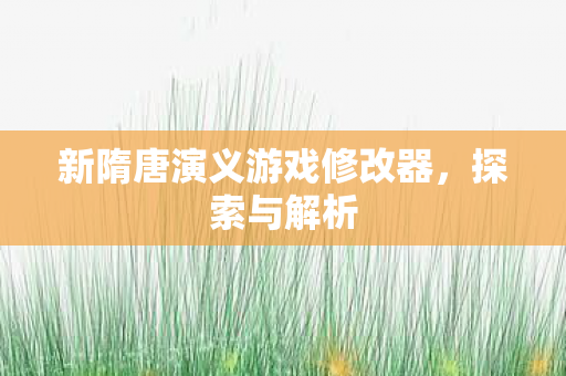 新隋唐演义游戏修改器图片