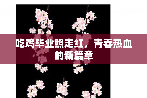 青春热血的新篇章图片