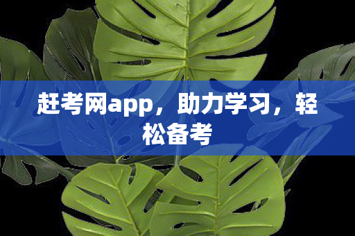 赶考网app图片