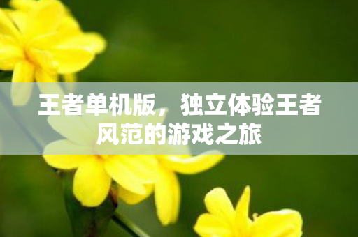 独立体验王者风范的游戏之旅图片