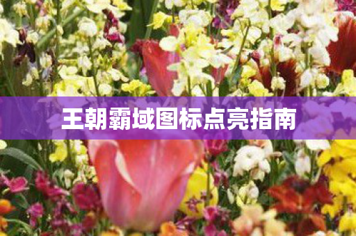 王朝霸域图标点亮指南图片