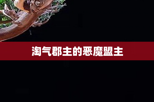 淘气郡主的恶魔盟主图片