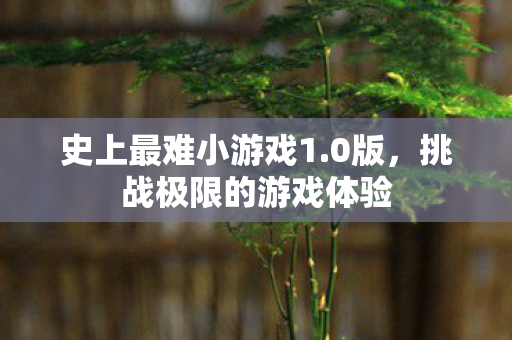 挑战极限的游戏体验图片