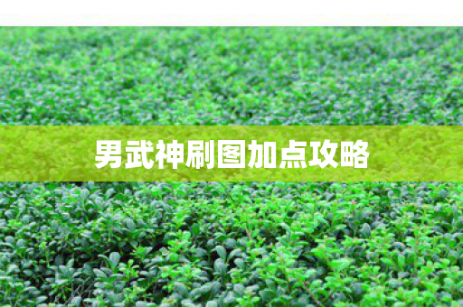 男武神刷图加点攻略图片