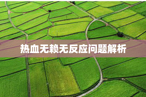 热血无赖无反应问题解析图片