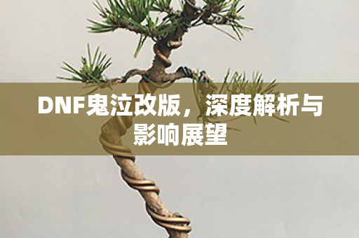 深度解析与影响展望图片