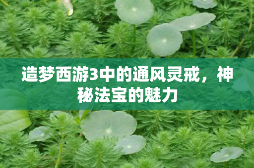 造梦西游3中的通风灵戒图片