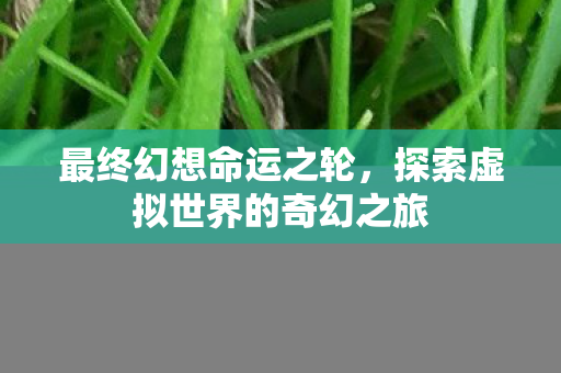 探索虚拟世界的奇幻之旅图片