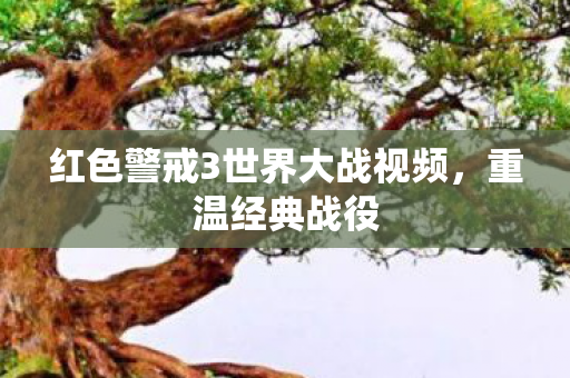 红色警戒3世界大战视频图片