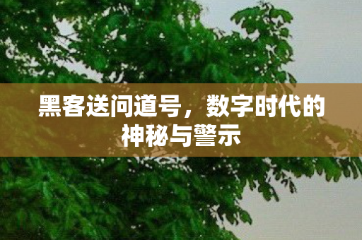 数字时代的神秘与警示图片