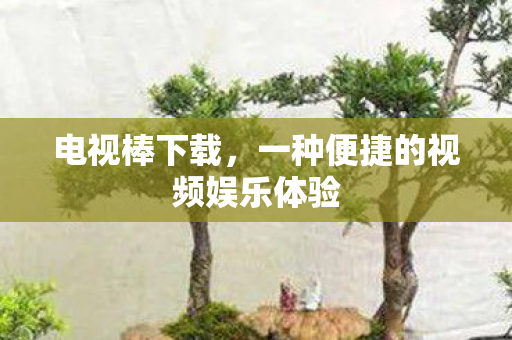 一种便捷的视频娱乐体验图片