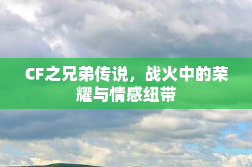战火中的荣耀与情感纽带图片