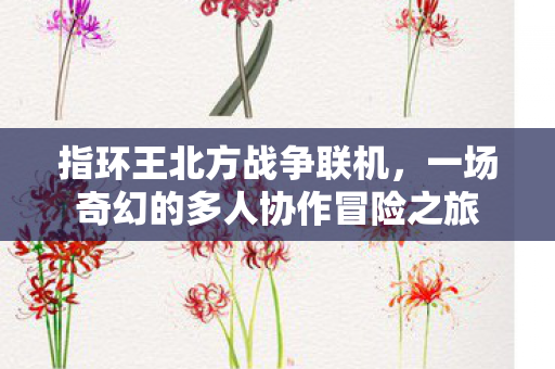 一场奇幻的多人协作冒险之旅图片