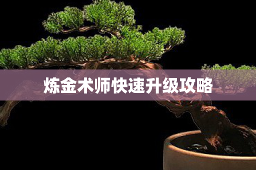 炼金术师快速升级攻略图片