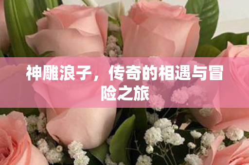 传奇的相遇与冒险之旅图片