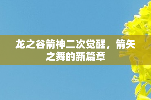 龙之谷箭神二次觉醒图片