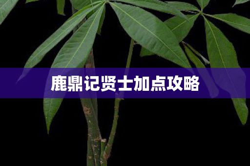鹿鼎记贤士加点攻略图片
