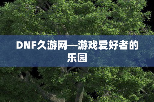 游戏爱好者的乐园图片