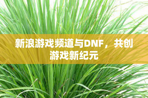 新浪游戏频道与DNF图片