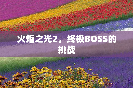终极BOSS的挑战图片