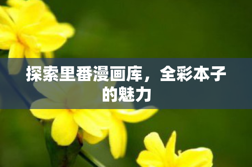 探索里番漫画库图片