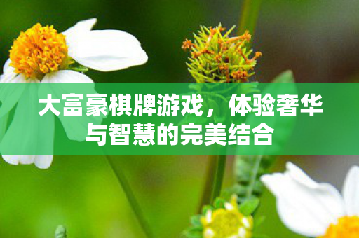 体验奢华与智慧的完美结合图片