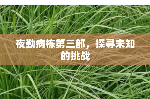 夜勤病栋第三部图片