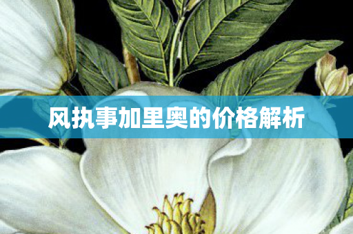 风执事加里奥的价格解析图片