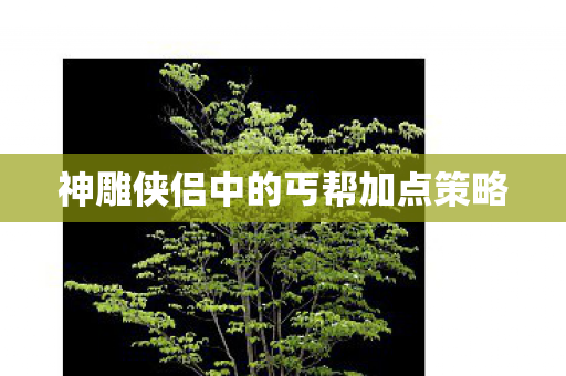 神雕侠侣中的丐帮加点策略图片