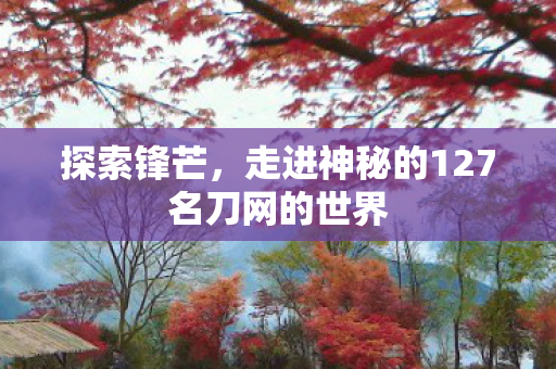 走进神秘的127名刀网的世界图片